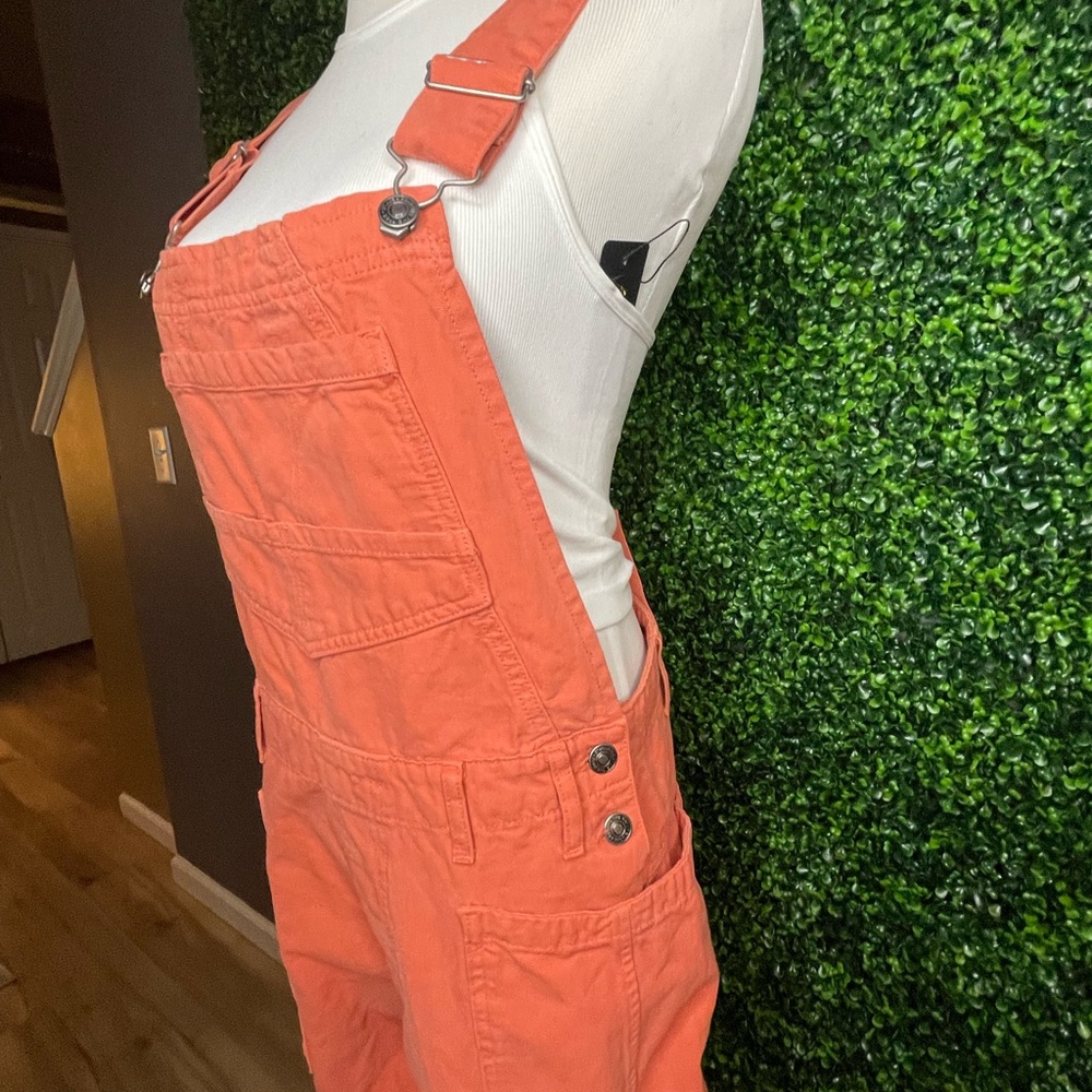 Free People Rayna Carpenter Overalls. Brand new, never worn without tags.